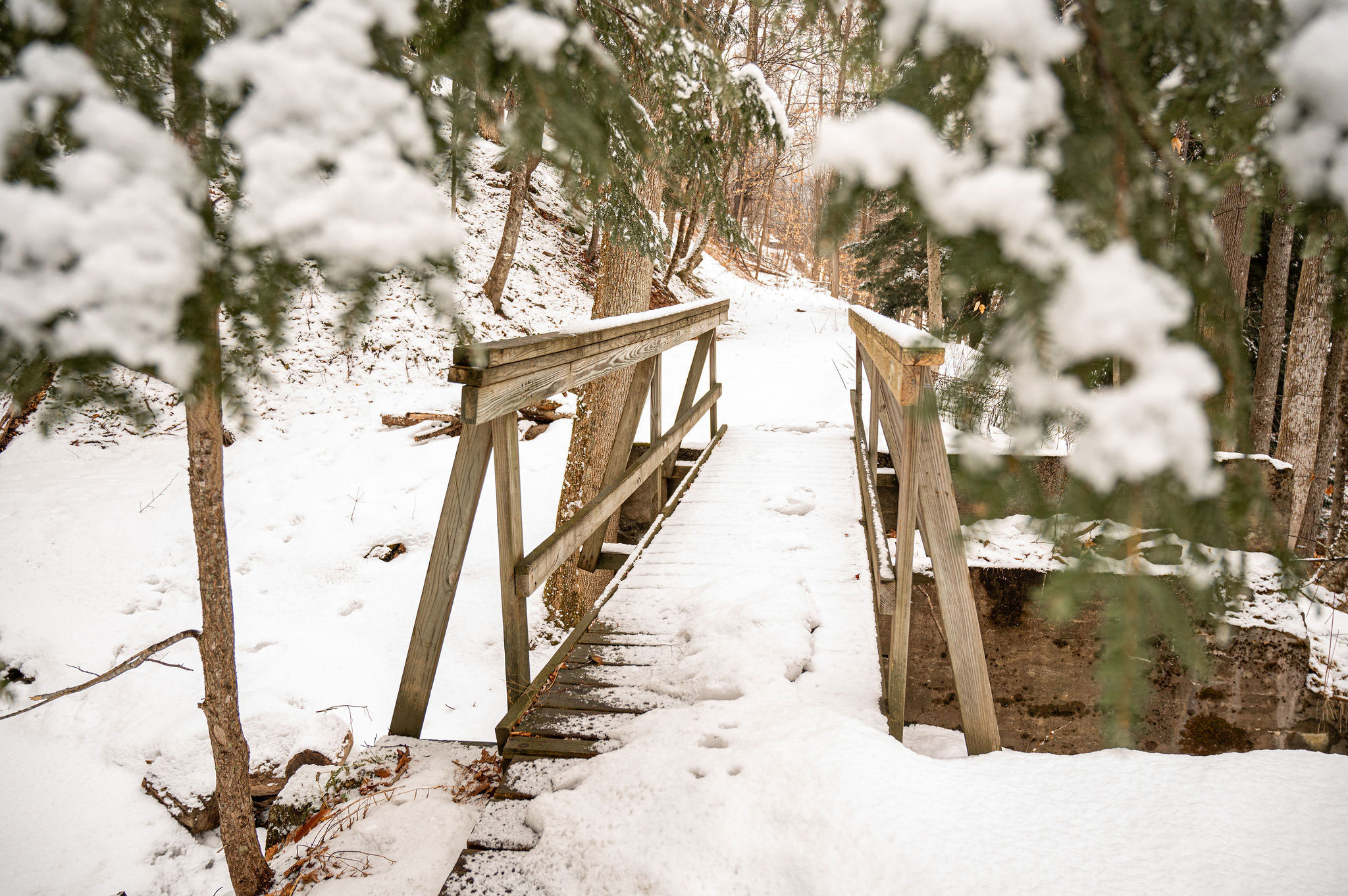 A winter view of a walking trail going across a wooden bridge covered with snow.