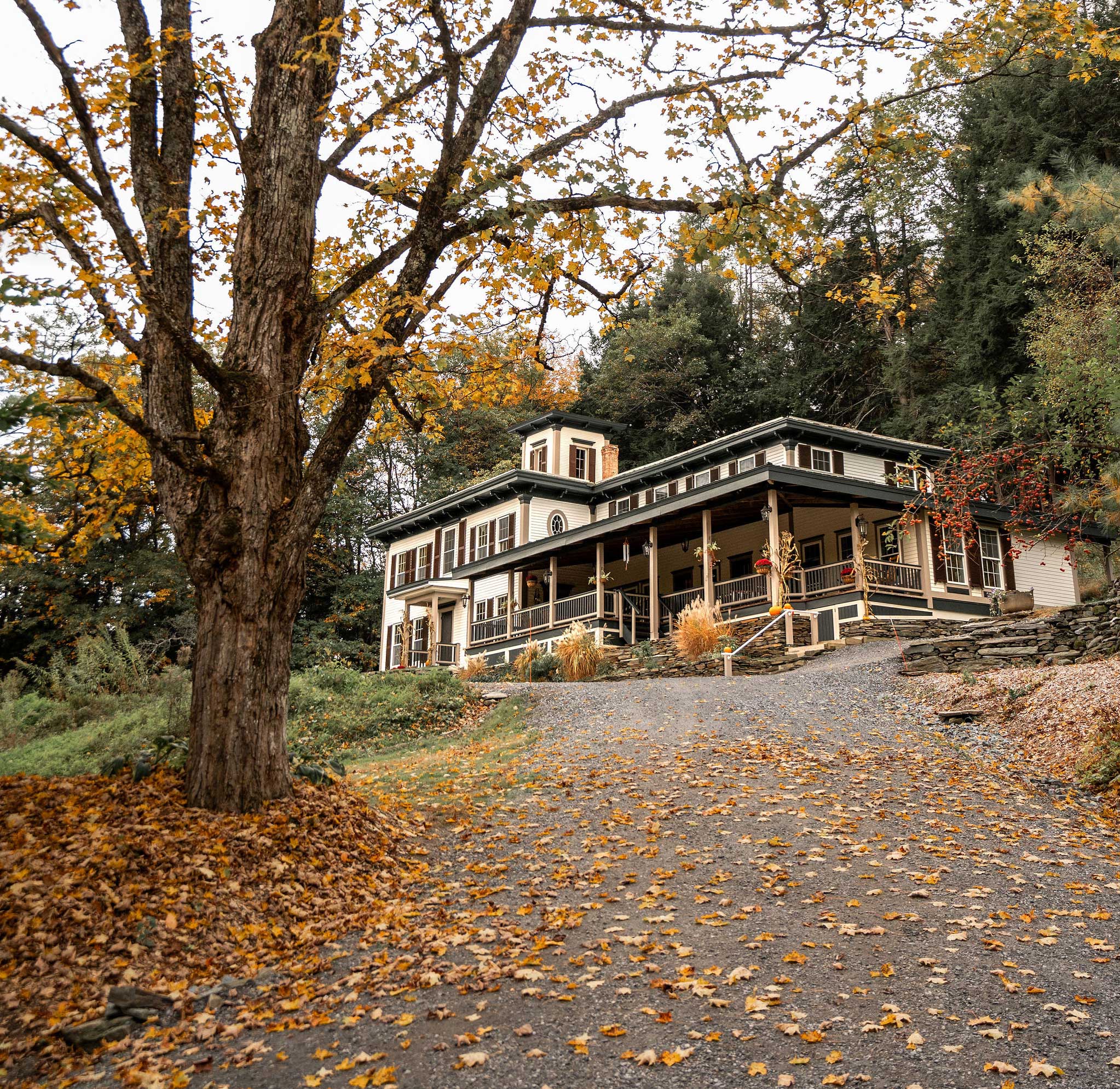 The Cobble House in autumn a photo of Cobble House seen from looking up the driveway