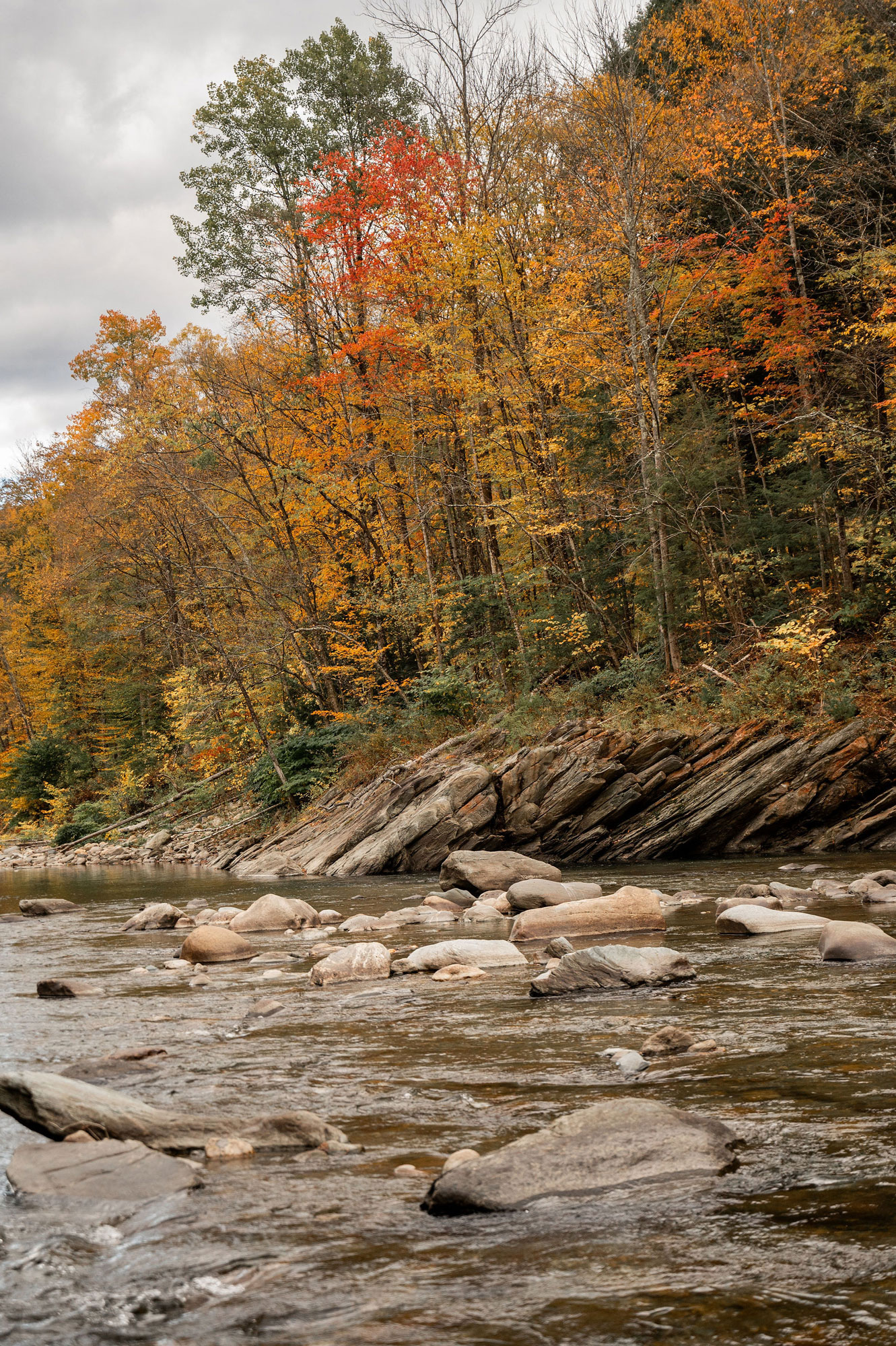 The White River from Cobble Hill beach with fall foliage