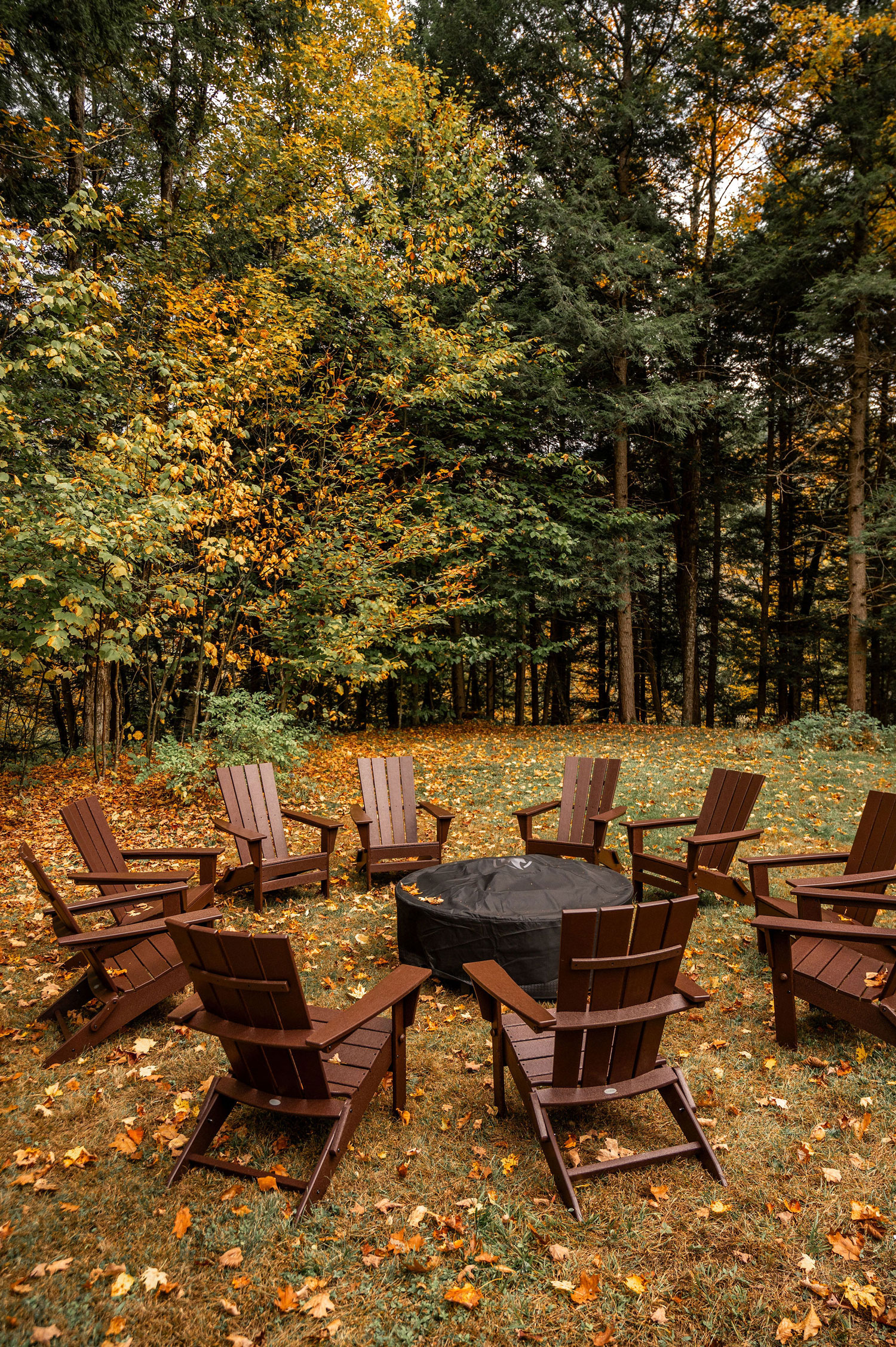 The firepit surrounded by large armchairs against a bank of trees with fall foliage