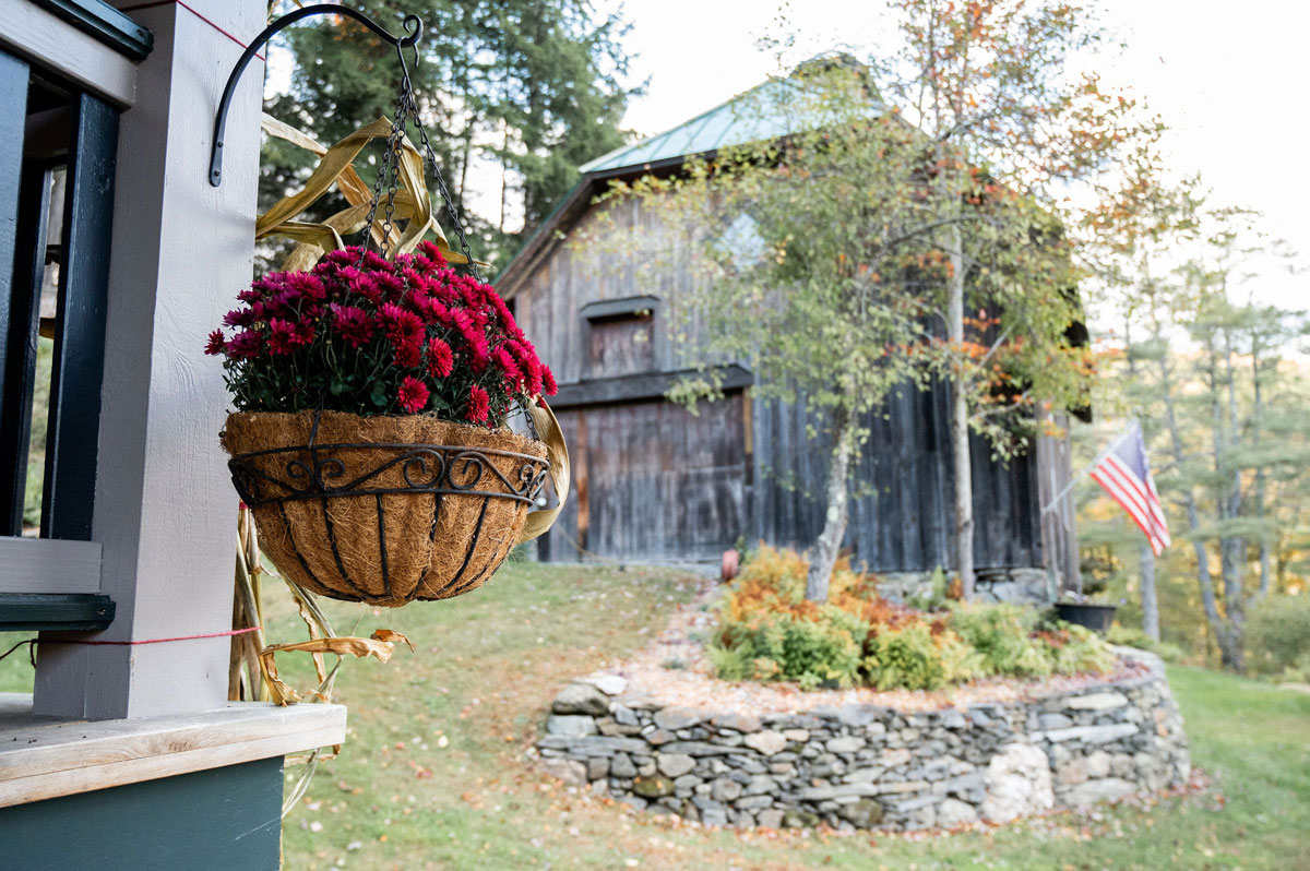 The Cobble House barn Photo focused on a hanging basket of red flowers with an out of focus on an old barn in the background